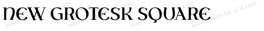 New Grotesk Square字体转换
